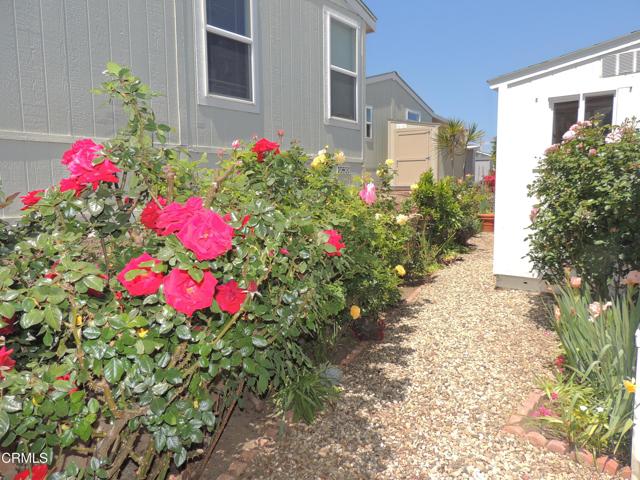 Detail Gallery Image 22 of 38 For 10685 Blackburn Rd #87,  Ventura,  CA 93004 - 2 Beds | 1 Baths