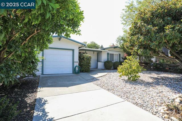 2465 Buena Vista Ave, Walnut Creek CA: https://media.crmls.org/mediaz/d849b00f-6f14-4273-951d-304385845beb.jpg