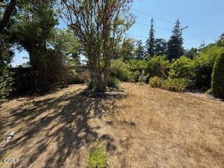 591 Alameda Street, Altadena CA: https://media.crmls.org/mediaz/d84bc194-c977-41f1-9e7d-09065966620c.jpg