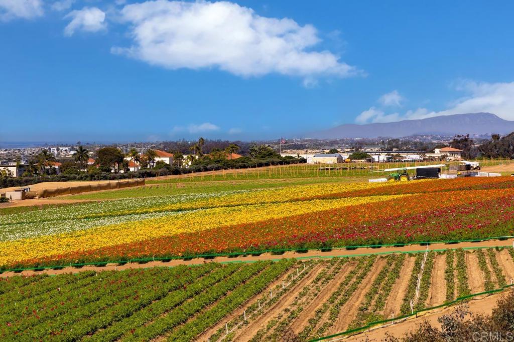 2528 Delphinium Lane - photo 12