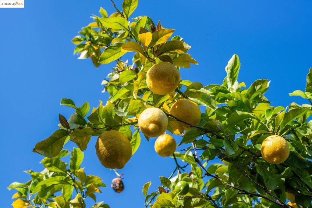 https://media.crmls.org/mediaz/d858c67e-9892-441a-94e0-0d046d237e88.jpg?preset=X-Large
