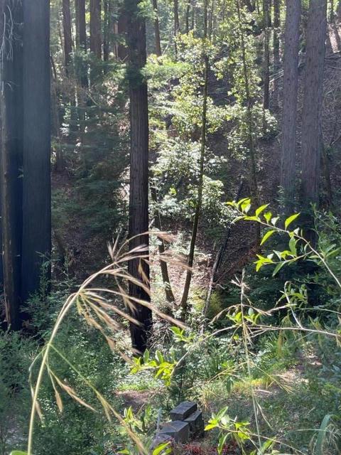 506 Sunset Road, Boulder Creek CA: https://media.crmls.org/mediaz/d85bc40f-c2aa-4afb-a943-04903794c3a0.jpg