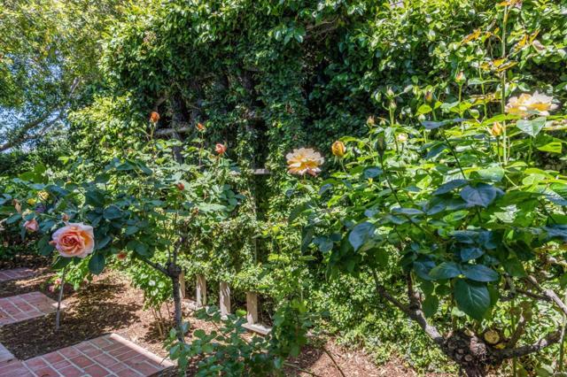 1714 Sweetbriar Drive, San Jose CA: https://media.crmls.org/mediaz/d861257b-4eb9-4e18-a5b5-8e74ea29d43a.jpg
