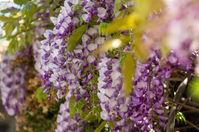 Image 32 of 38 For 812 19th St  