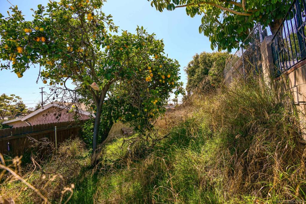 MLS #250022266SD img 8