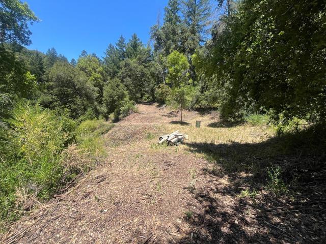 0 Deer Creek (Lot 21), Boulder Creek CA: https://media.crmls.org/mediaz/d86cc823-794f-4b7e-a9e1-85d2f827524b.jpg