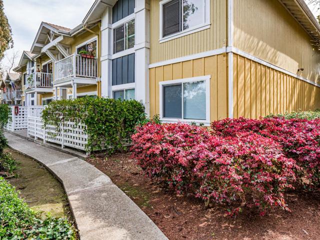 755 14th Avenue, Santa Cruz CA: https://media.crmls.org/mediaz/d87a9ee8-f7ab-40e6-9af4-a7a9920ee193.jpg