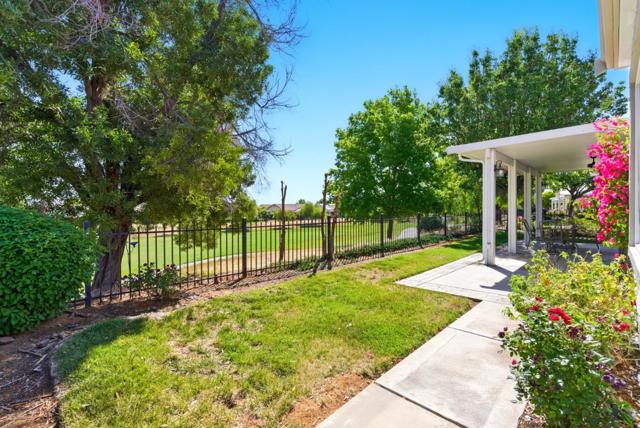 779 Franklin Drive, Brentwood CA: https://media.crmls.org/mediaz/d87dfa6a-fd7a-449d-9ad7-67da0e5adf99.jpg