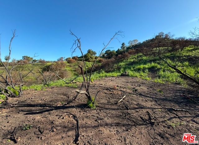 0 Fir Ridge Drive, Topanga CA: https://media.crmls.org/mediaz/d87fdf84-efd8-4a4c-b79a-45e8c4ab89d1.jpg