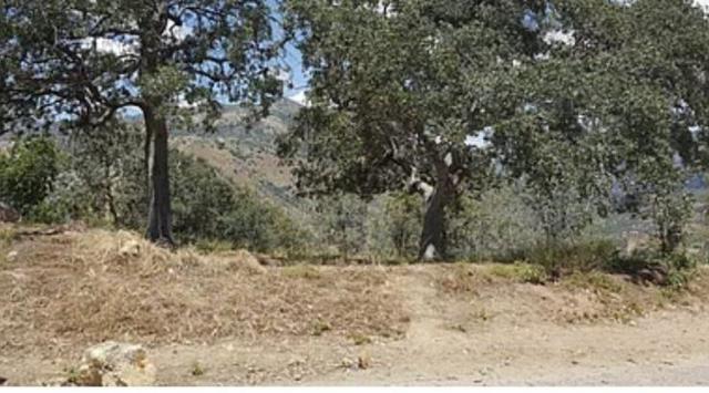 29170 TERESA SPRING Road, Tollhouse CA: https://media.crmls.org/mediaz/d880ca47-e9d6-46b2-ad59-598cd4499e5d.jpg