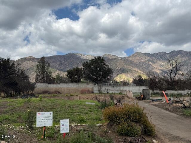 Front Image Thumbnail for CRP1-25213