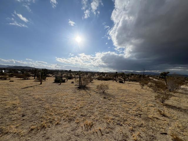 0 Campanula Street, Yucca Valley CA: https://media.crmls.org/mediaz/d892719a-9a67-46fa-a7e7-cd95dbca0ac7.jpg