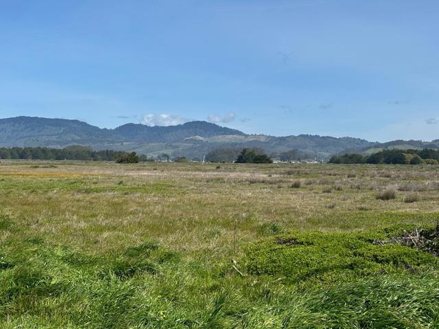 0 Portola Avenue, Half Moon Bay CA: https://media.crmls.org/mediaz/d89a5d56-5c96-4d6d-a995-ea8f1a3d1ec7.jpg