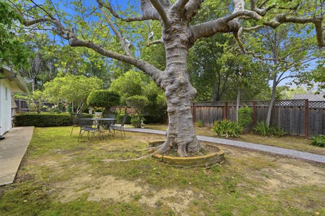 14175 Douglass Lane, Saratoga CA: https://media.crmls.org/mediaz/d89f255a-fdc8-4c2b-88d4-3a4ed48983cf.jpg
