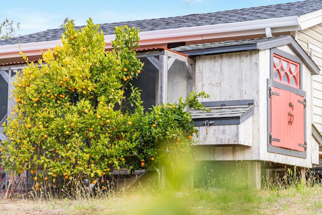 MLS #ML82014611 image #59