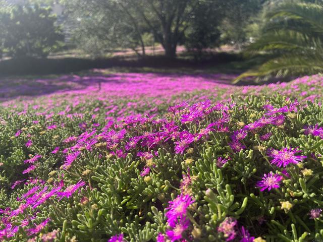 Detail Gallery Image 47 of 49 For 2187 Mil Sorpresas Dr, Fallbrook,  CA 92028 - 4 Beds | 4 Baths