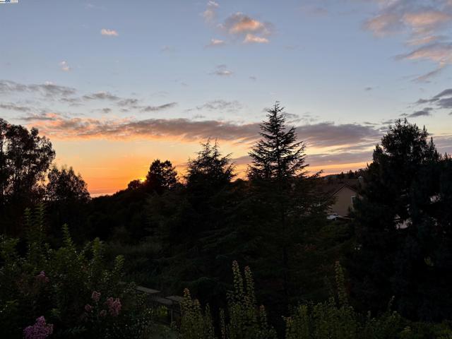 20340 Hunters Knls, Castro Valley CA: https://media.crmls.org/mediaz/d8bef77a-5180-4c1d-91be-9071214db786.jpg