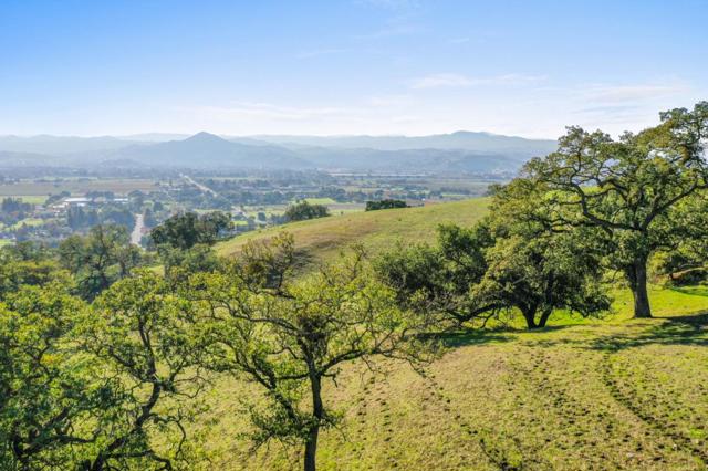 2235 Liberata Drive, Morgan Hill CA: https://media.crmls.org/mediaz/d8c25ede-91a0-4570-a4ce-d82a3f63fbdd.jpg