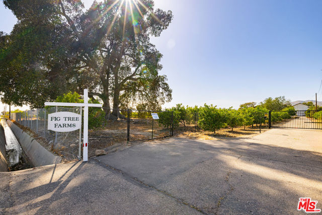 13721 W Telegraph Road, Santa Paula CA: https://media.crmls.org/mediaz/d8c96f8f-8360-47b1-8ddc-b2a7268ad00d.jpg