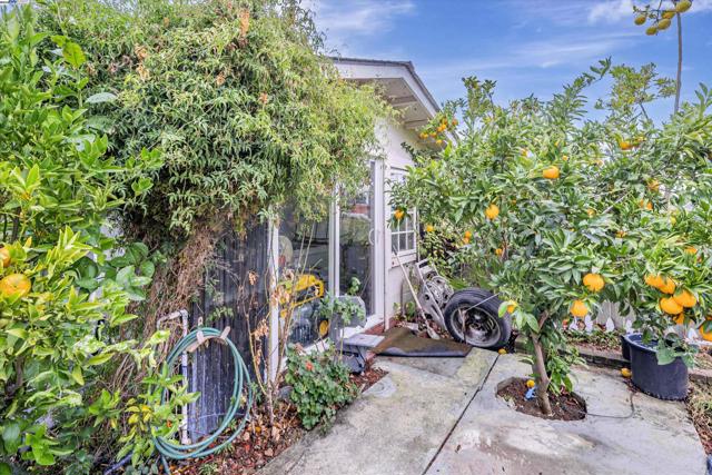 Image 5 of 55 For 370 Appian Way