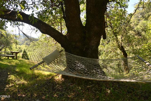 Detail Gallery Image 15 of 59 For 24051 Fig Tree Ln, Yorkville,  CA 95494 - – Beds | – Baths