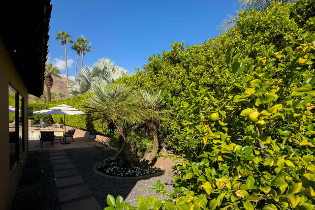 252 Camino Sur, Palm Springs, CA 92262