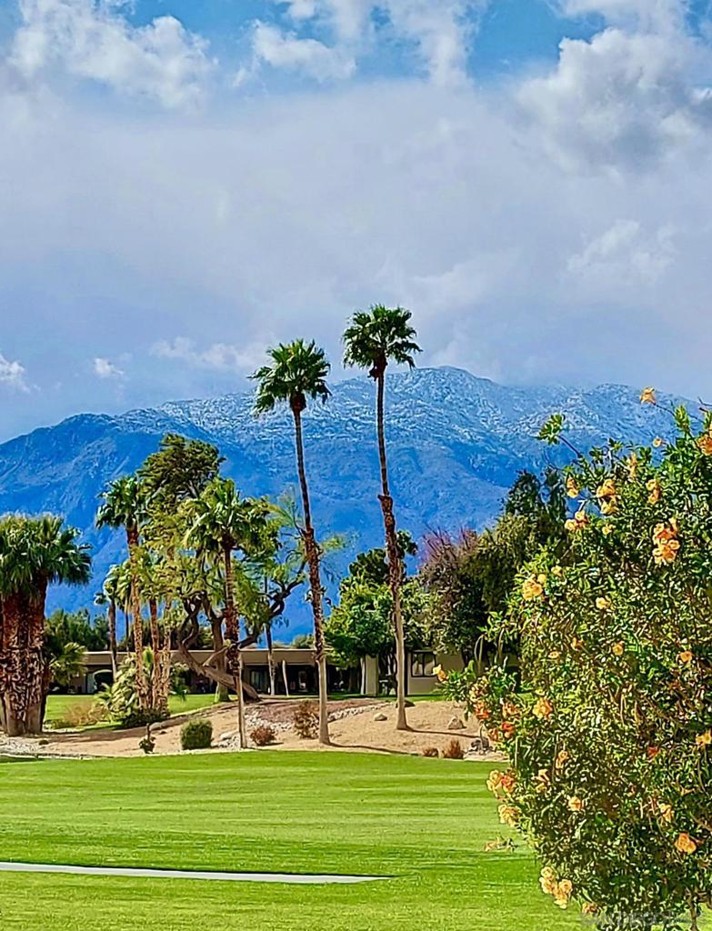 MLS #250043227SD image #47