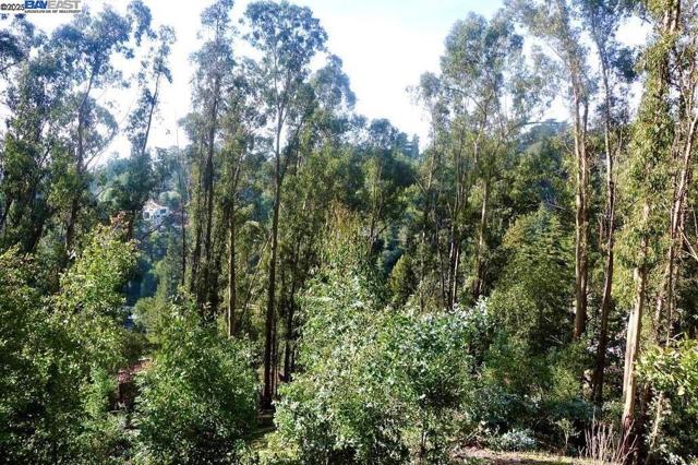 7590 Skyline Blvd, Oakland CA: https://media.crmls.org/mediaz/d901b927-2da1-44b5-aabe-6b651b8088dd.jpg