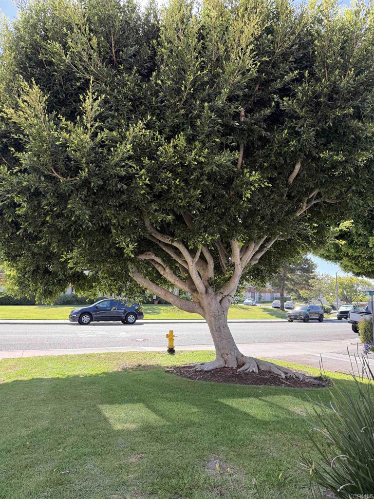 2901 Via Carrio - photo 9