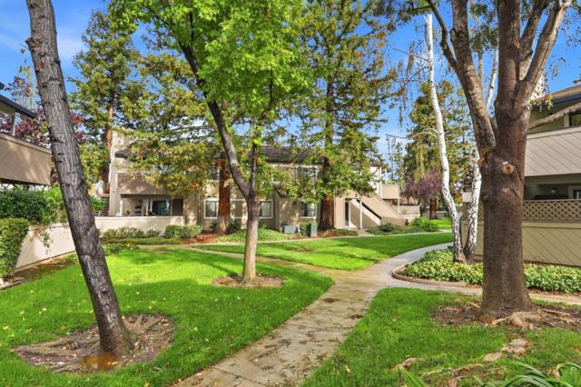 704 Cassaday Court, San Jose CA: https://media.crmls.org/mediaz/d910d1f6-c25f-40d9-95db-72552e3c3f41.jpg