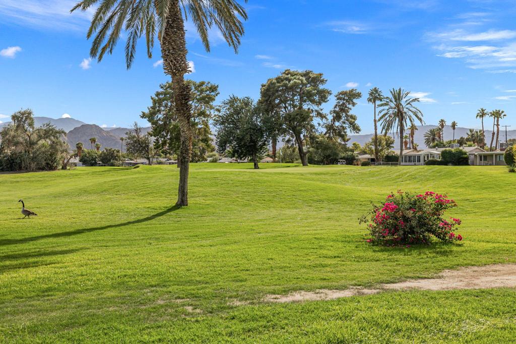 MLS #219137093DA image #6