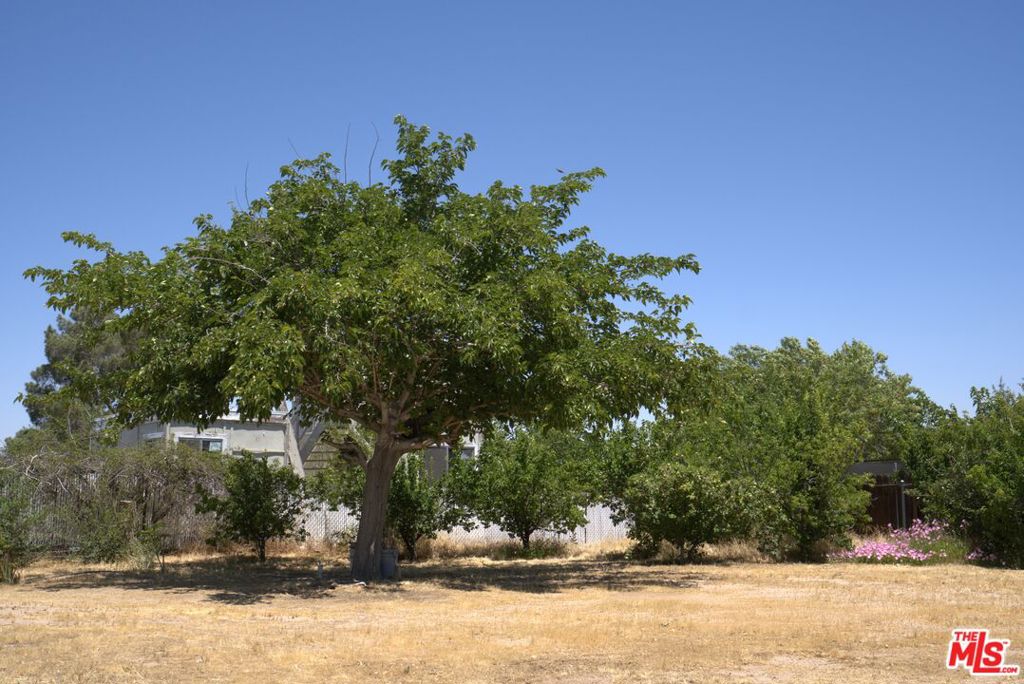 https://media.crmls.org/mediaz/d914717d-6130-424f-8440-340c07ea79bc.jpg?preset=X-Large