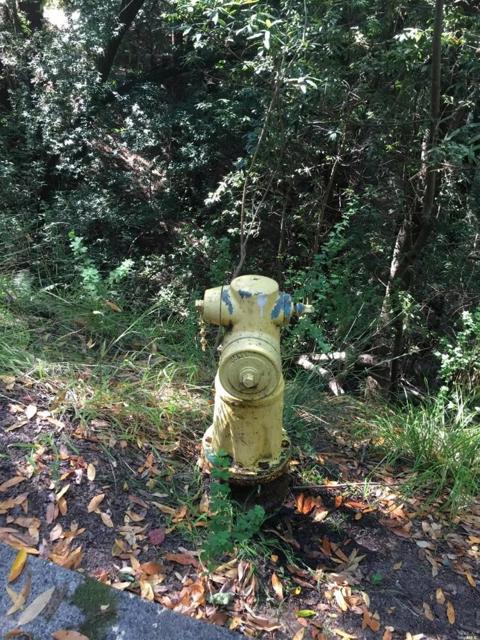 29 Red Rock Way, San Rafael CA: https://media.crmls.org/mediaz/d927fcbb-7762-40c7-93e1-1de28c34a2aa.jpg