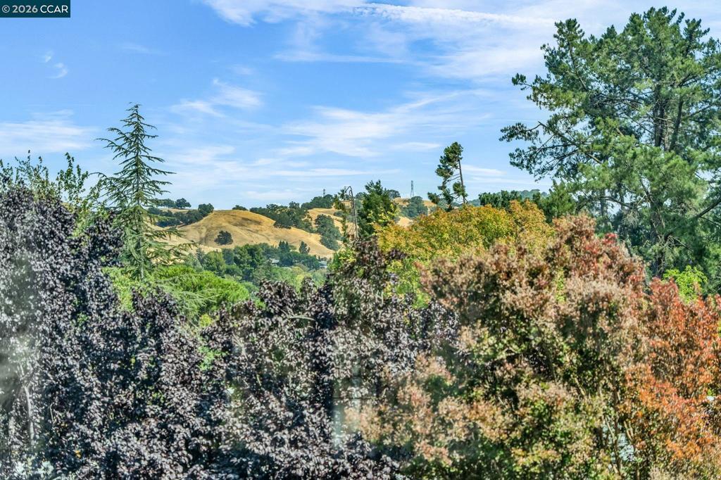 https://media.crmls.org/mediaz/d93699f0-bfdd-4de1-91d5-37f73e3d91d1.jpg?preset=X-Large
