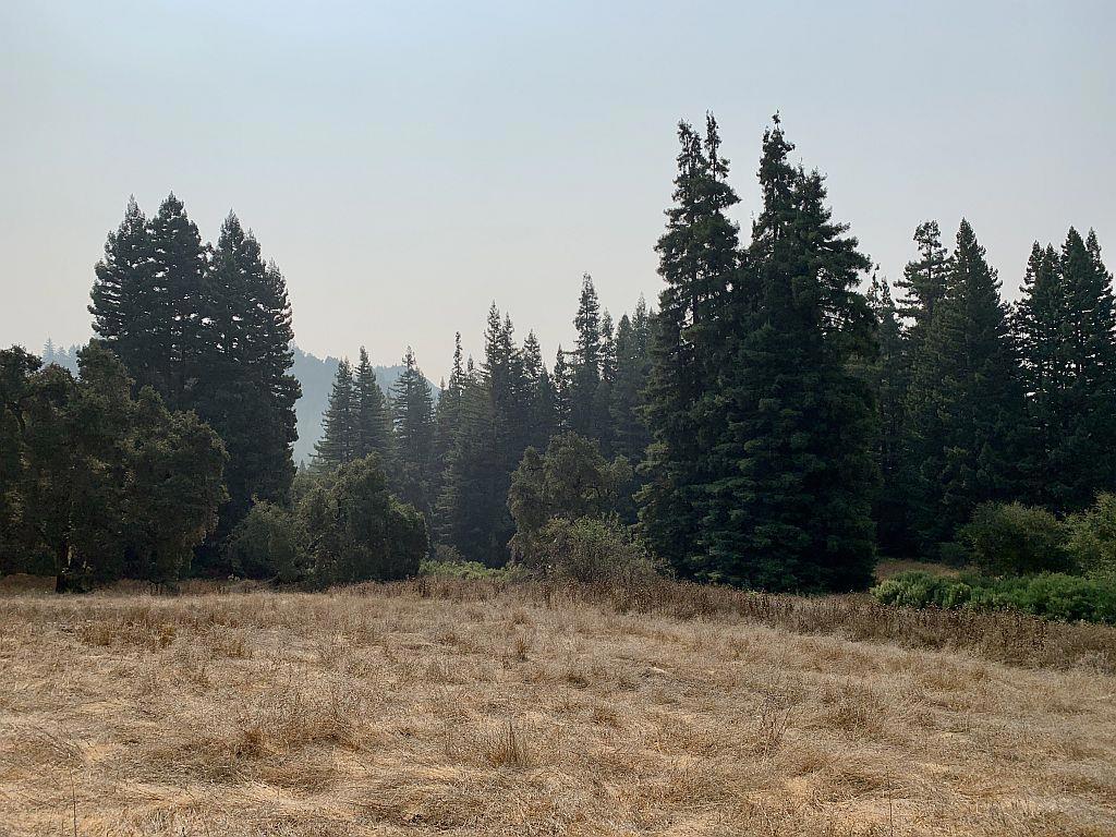 MLS #ML81810757 image #44