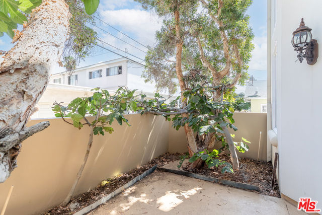 1117 18th Street, #5 photo 8
