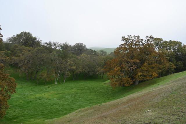 Image 16 of 23 For 1700 Finley Road