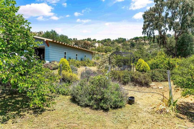 6132 Rainbow Heights Rd, Fallbrook CA: https://media.crmls.org/mediaz/d951982a-d4bd-4aa5-bc17-84263b94cc7f.jpg