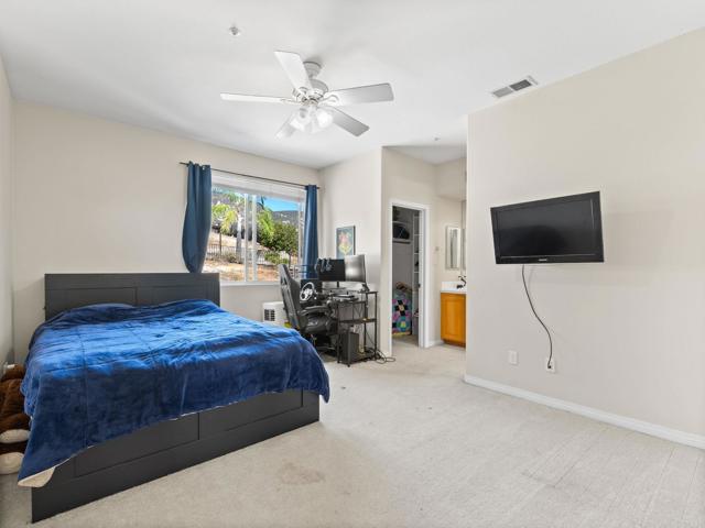 24534 Rutherford Rd, San Diego County, CA 92065 photo 28