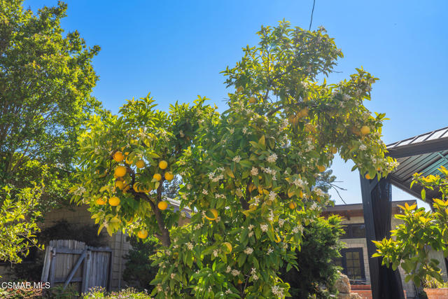 1585 Loma Drive, Ojai CA: https://media.crmls.org/mediaz/d965a68e-fce6-4626-802b-d741bb3f9277.jpg