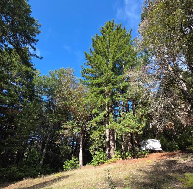 1140 Warren Drive, Santa Cruz CA: https://media.crmls.org/mediaz/d97d1212-87ee-444f-b363-1e53e2753d9c.jpg