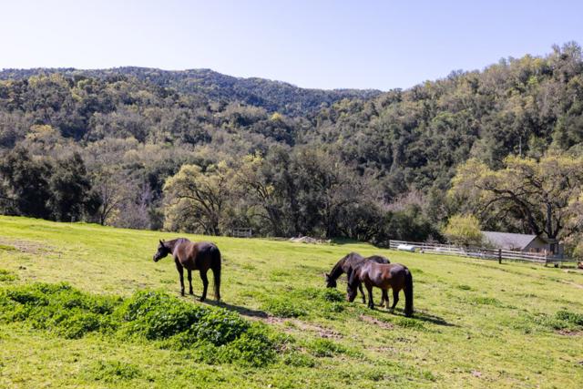 20215 Cachagua Road, Carmel Valley CA: https://media.crmls.org/mediaz/d98000e4-31fe-494f-88b0-6a2e1b627f17.jpg