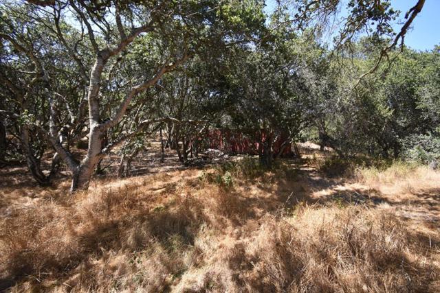 0 Alexander Lane, San Juan Bautista CA: https://media.crmls.org/mediaz/d982f61c-f2cd-489d-8f36-cbb05c25f147.jpg