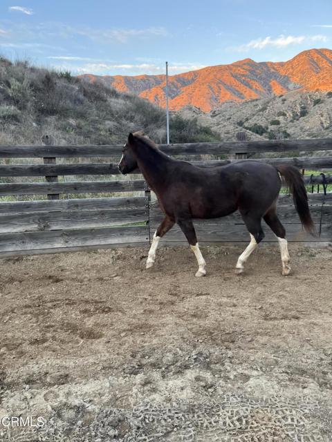 Detail Gallery Image 5 of 75 For 11461 Riverwood Dr, Sunland,  CA 91040 - 3 Beds | 2 Baths