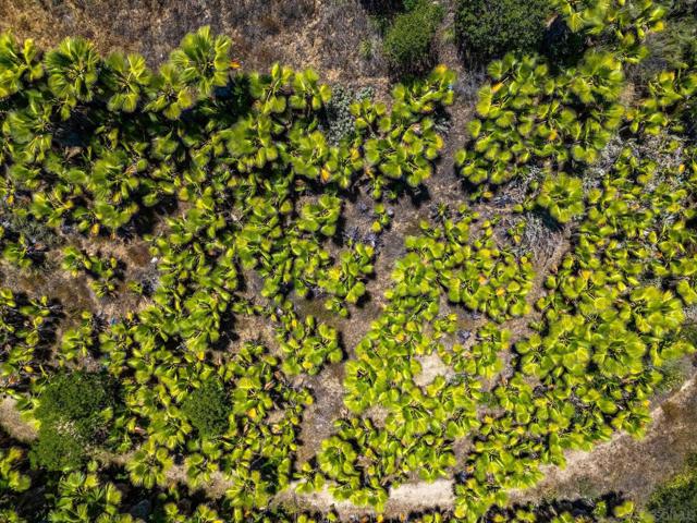 0 Ranger Road, Fallbrook CA: https://media.crmls.org/mediaz/d9866a77-8695-4154-a75e-c03ba1952f54.jpg