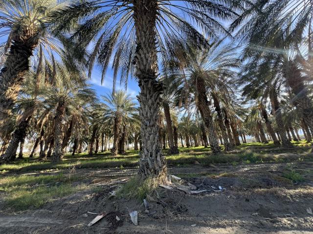 0 Nwc Pierce St & Ave 64, Thermal CA: https://media.crmls.org/mediaz/d987e03b-526b-4a41-ac7c-a9476ae58f93.jpg