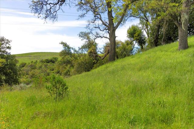 Image 26 of 42 For 0 Mt Hamilton