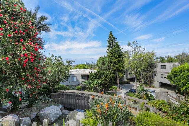 155 Rosebay Dr, Encinitas CA: https://media.crmls.org/mediaz/d9aff482-3454-4116-846c-9d4d3f3e6027.jpg