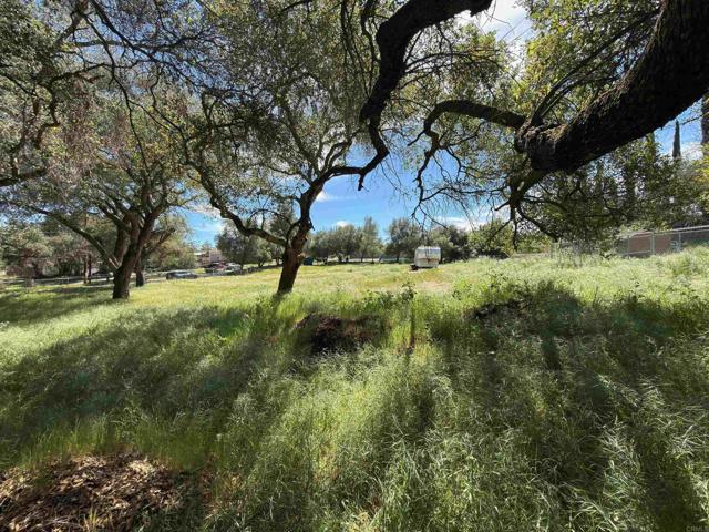 Detail Gallery Image 8 of 26 For 0 Highway 67, Ramona,  CA 92065 - – Beds | – Baths