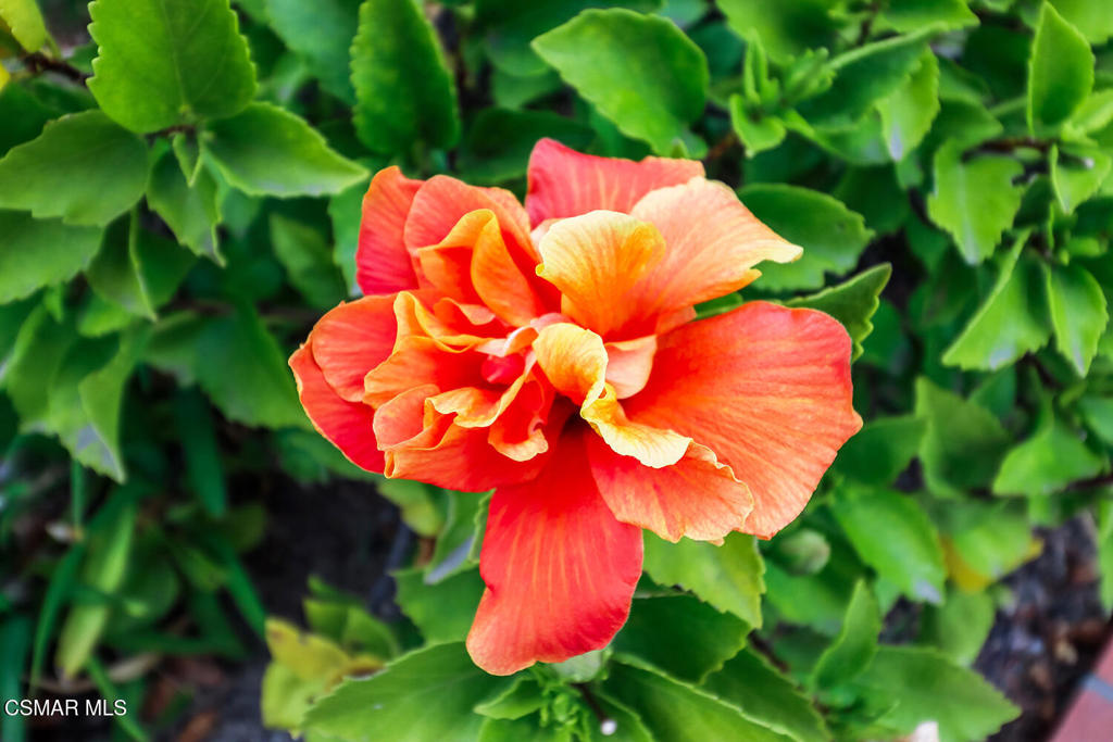 https://media.crmls.org/mediaz/d9bbdfa6-5816-45ea-86c9-0648bb7cf1c6.jpg?preset=X-Large